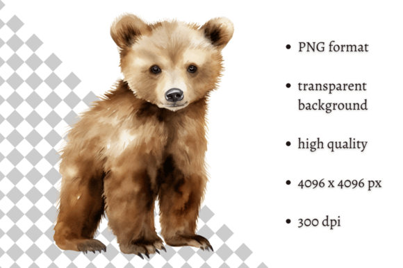 Download Watercolor Woodland Baby Bear Clipart - Bear Collection